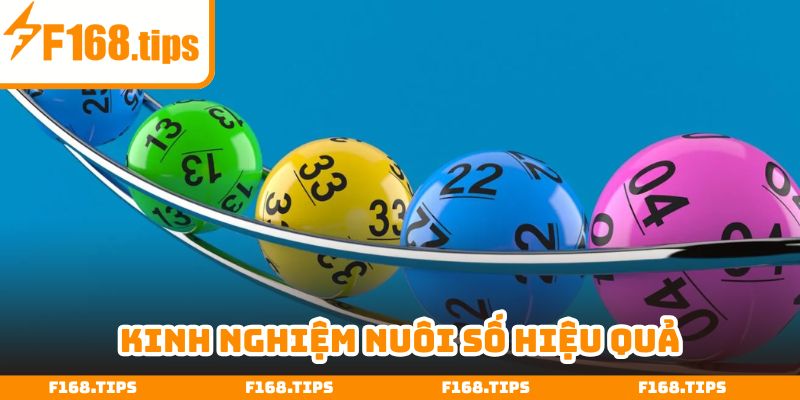 Vận dụng phương pháp xuống tiền thích hợp khi nuôi số