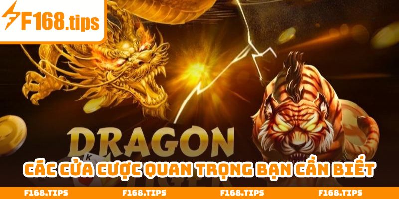 Hiểu rõ ý nghĩa các cửa cược và đưa ra quyết định chính xác