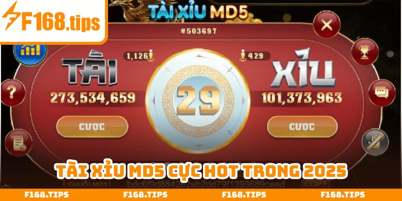 Tài xỉu MD5